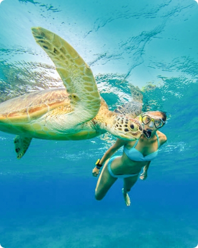 snorkeling