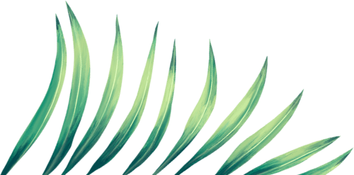 green leaf