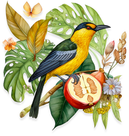 Bird, leaves, and fruits